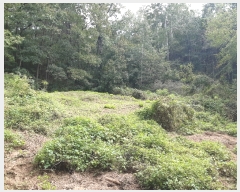  2022Ÿ��115235  ����