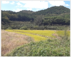  2022Ÿ��115235  ����