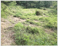  2022Ÿ��115235  ����