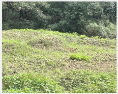  2022Ÿ��115235  ����