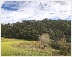  2022Ÿ��115235  ����