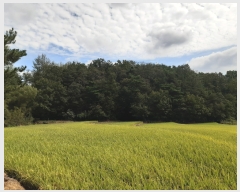  2022Ÿ��115235  ����