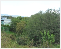  2022Ÿ116252   з ϸ 490      (1)