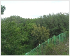  2022Ÿ116252   з ϸ 490      (1)