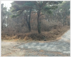  2022Ÿ��120435  ���Ű��