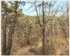  2022Ÿ��120435  ���Ű��