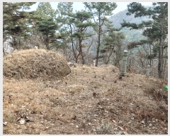  2022Ÿ��120435  ���Ű��