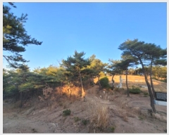  2022Ÿ��119237 ��� ��õ�� �Ͼȸ� ���縮 �� 8-1     ����(�Ӿ�)���