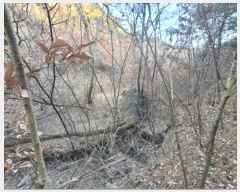  2022Ÿ��119237 ��� ��õ�� �Ͼȸ� ���縮 �� 8-1     ����(�Ӿ�)���