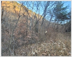  2022Ÿ��119237 ��� ��õ�� �Ͼȸ� ���縮 �� 8-1     ����(�Ӿ�)���