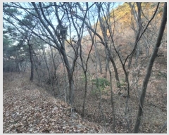  2022Ÿ��119237 ��� ��õ�� �Ͼȸ� ���縮 �� 8-1     ����(�Ӿ�)���