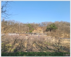  2022Ÿ��244 ��� �ȵ��� ���� 1030-1       ����(�Ӿ�)���