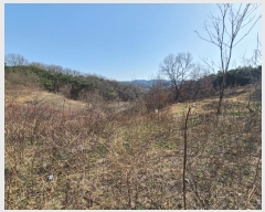  2022Ÿ��244 ��� �ȵ��� ���� 1030-1       ����(�Ӿ�)���