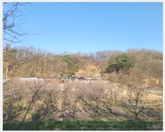  2022Ÿ��244 ��� �ȵ��� ���� 1030-1       ����(�Ӿ�)���