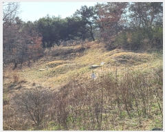  2022Ÿ��244 ��� �ȵ��� ���� 1030-1       ����(�Ӿ�)���