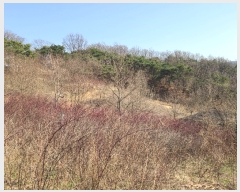  2022Ÿ��244 ��� �ȵ��� ���� 1030-1       ����(�Ӿ�)���