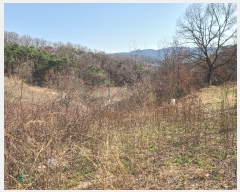  2022Ÿ��244 ��� �ȵ��� ���� 1030-1       ����(�Ӿ�)���