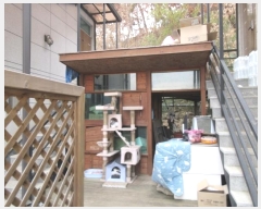  2022Ÿ2066  ȵ ĸ  88      ٰð