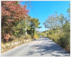  2022Ÿ13229  ֽ ܵ  456-3      