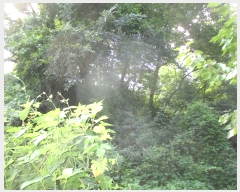  2022Ÿ��1625  �����