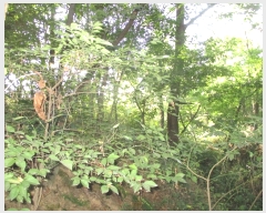  2022Ÿ��1625  �����