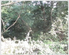  2022Ÿ��1625  �����