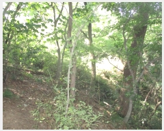  2022Ÿ��1625  �����