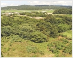  2022Ÿ��1625  �����