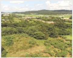  2022Ÿ��1625  �����