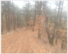  2022Ÿ��291 ��� û�۱� û���� ���ܸ� ��25      ����(�Ӿ�)���