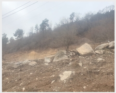  2022Ÿ��291 ��� û�۱� û���� ���ܸ� ��25      ����(�Ӿ�)���