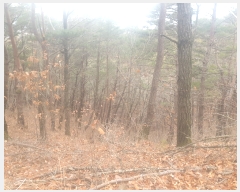  2022Ÿ��291 ��� û�۱� û���� ���ܸ� ��25      ����(�Ӿ�)���