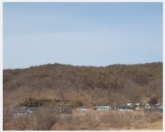  2022Ÿ��291 ��� û�۱� û���� ���ܸ� ��25      ����(�Ӿ�)���