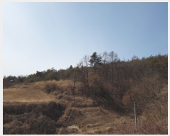  2022Ÿ��291 ��� û�۱� û���� ���ܸ� ��25      ����(�Ӿ�)���