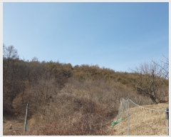  2022Ÿ��291 ��� û�۱� û���� ���ܸ� ��25      ����(�Ӿ�)���