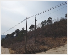  2022Ÿ��291 ��� û�۱� û���� ���ܸ� ��25      ����(�Ӿ�)���