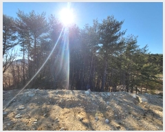  2022Ÿ��997 ��� ������ �⼺�� ô�긮 592-1      ����(�Ӿ�)���