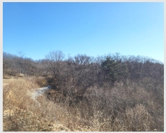  2022Ÿ��997 ��� ������ �⼺�� ô�긮 592-1      ����(�Ӿ�)���