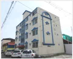  2022Ÿ��31291  �ټ���(����)���