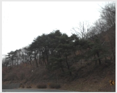  2022Ÿ37578 뱸 ޼ â  169      (Ӿ)