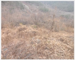  2022Ÿ37578 뱸 ޼ â  169      (Ӿ)