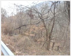  2022Ÿ37578 뱸 ޼ â  169      (Ӿ)