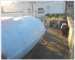  2022Ÿ��58171 �λ� �λ����� ������ 183-7       ����(����)���