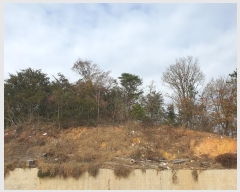  2022Ÿ7459  ֱ ¾  33-4      (Ӿ)