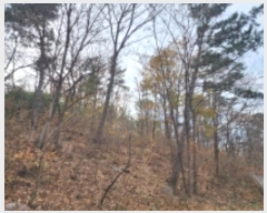  2022Ÿ7459  ֱ ¾  33-4      (Ӿ)