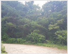  2022Ÿ��5286 �泲 ���� ���� ���긮 483-2      ����(�Ӿ�)���