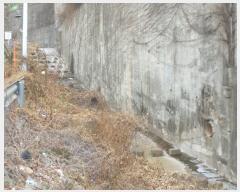  2022Ÿ24 λ 屺  ޻긮 44-11      