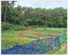  2022Ÿ��102906 �λ� ���屺 �ϱ��� ȭ���� 194      ����(��)���