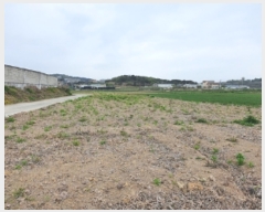  2022Ÿ��102075 �泲 ���ؽ� �Ѹ��� ������ 54-6      ����(��)���