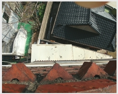  2022Ÿ��1288 �泲 â���� ��â�� ������101���� 10      �ٰ������ð��